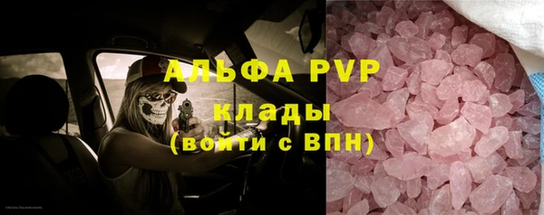 крисы Вяземский
