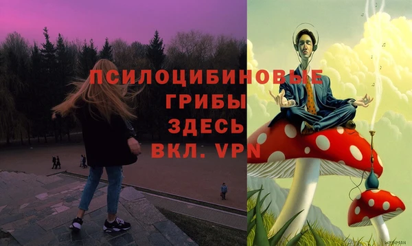 прущая мука Вязьма