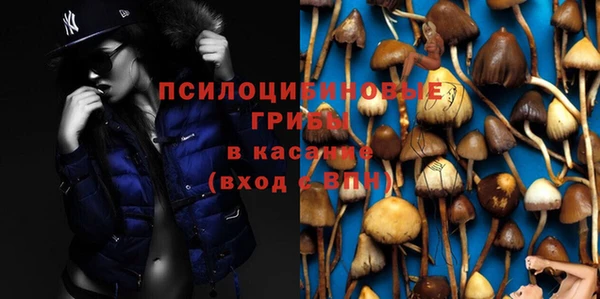 прущая мука Вязьма