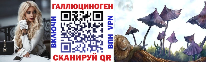 Купить  Себеж  Псилоцибиновые грибы мухоморы 